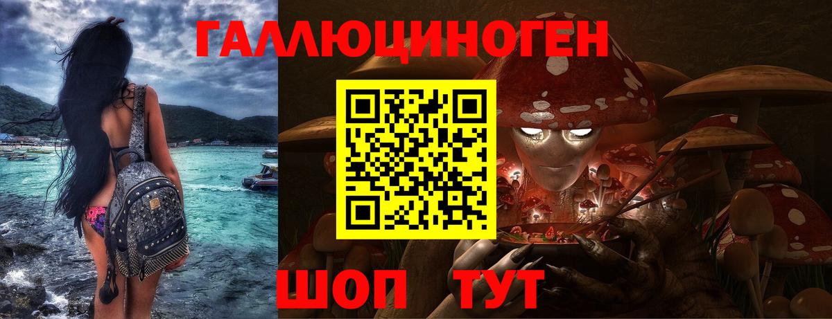 Каменка  Галлюциногенные грибы GOLDEN TEACHER  Галлюциногенные грибы ЛСД  Вход с VPN 