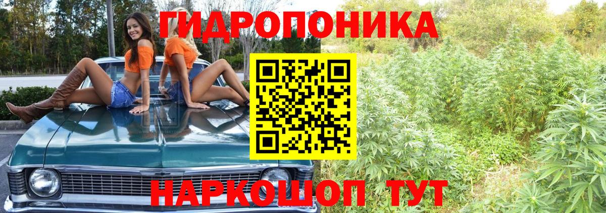 Канабис ГИДРОПОН  Вход с VPN  Каннабис ГИДРОПОН  Конопля Ganja  Каменка 
